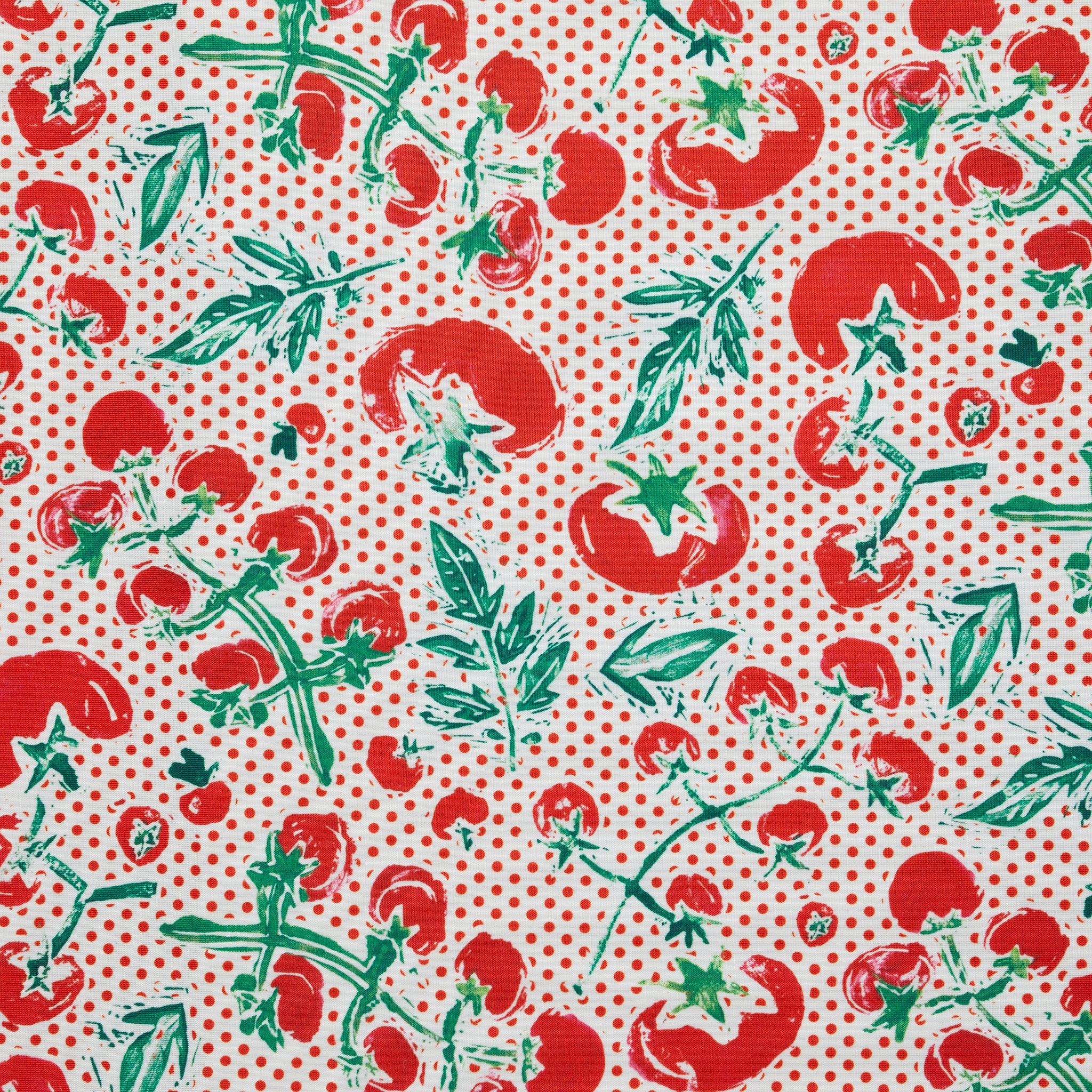Recycled Polyester Tomato Print Swimwear - Red