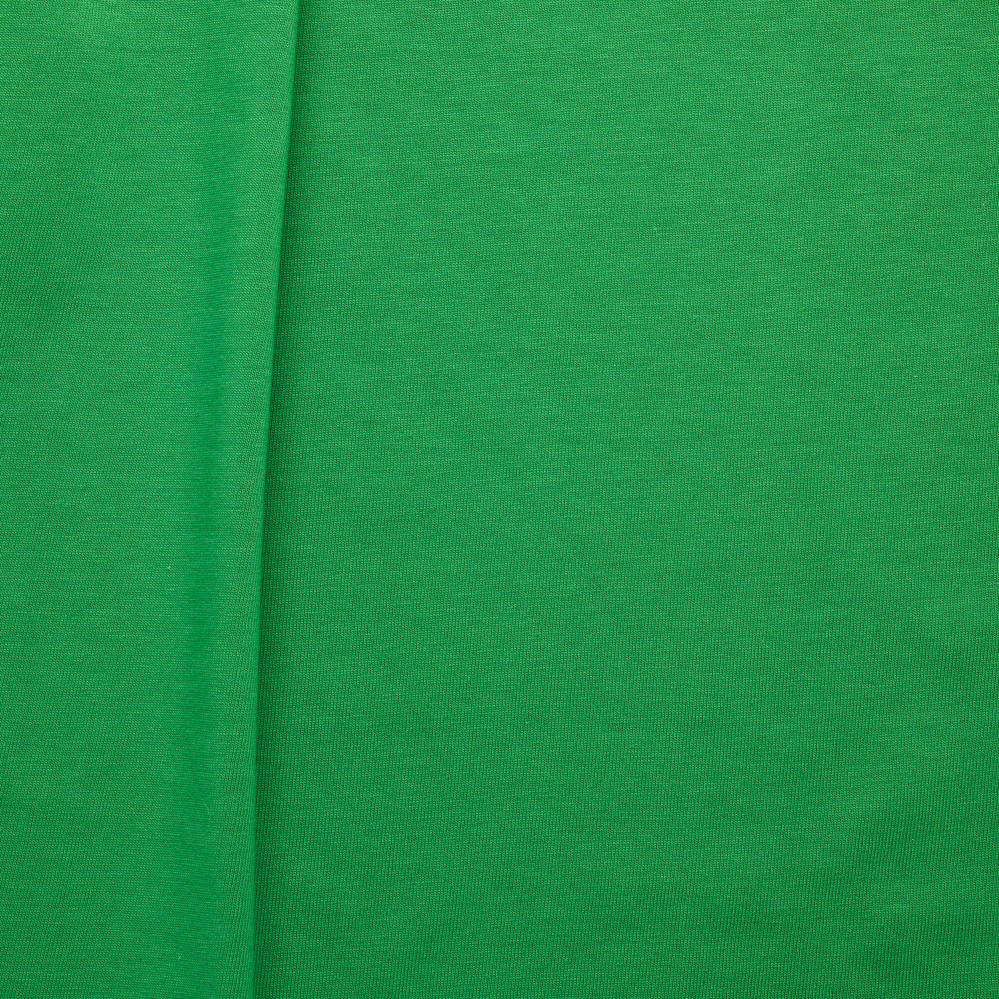 100% Australian Cotton Heavy Single Jersey - Green