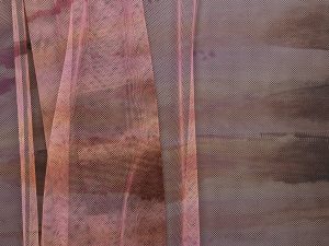 Carousel Printed Stretch Mesh - Peach