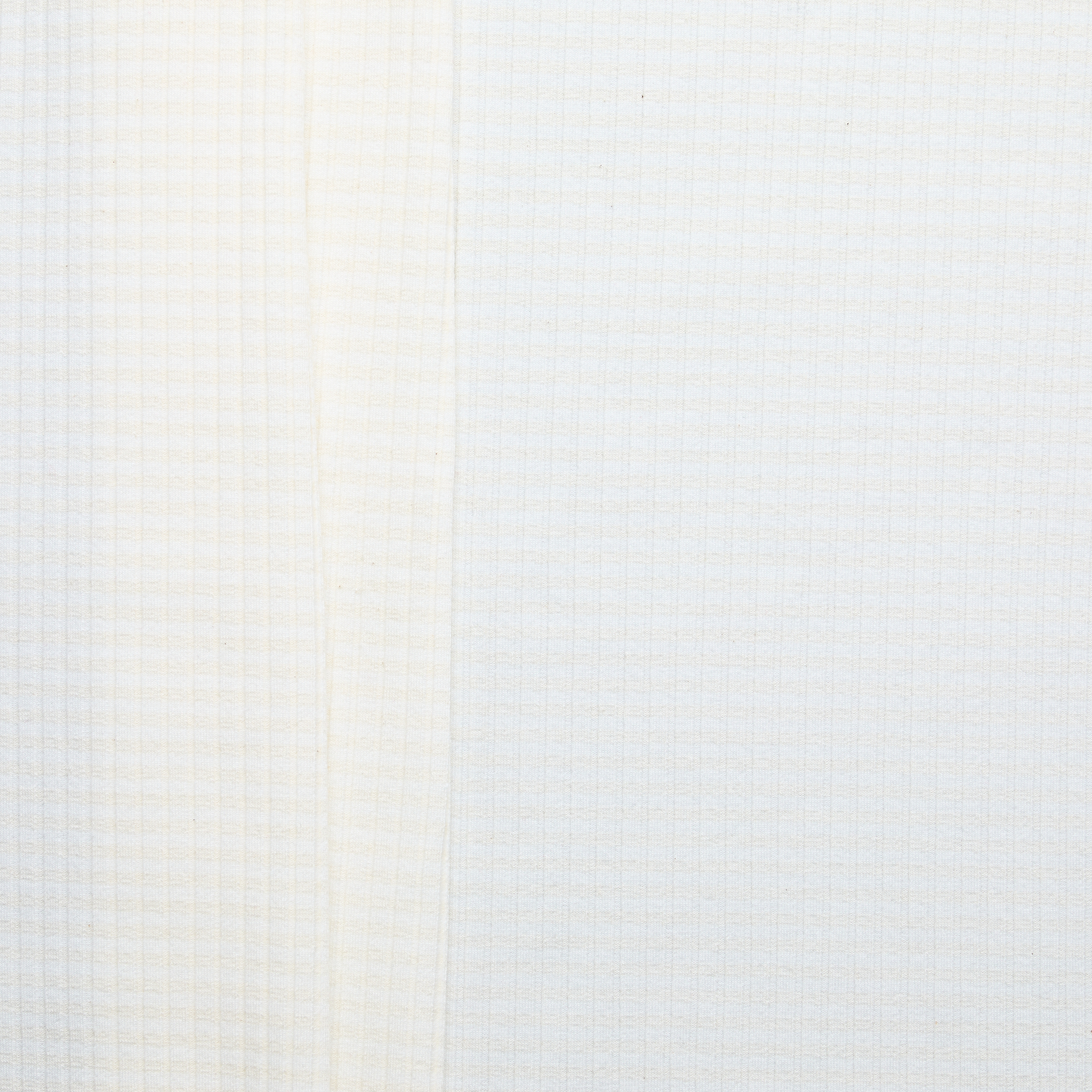 Elevated Cotton Rib 6x4 - Scour