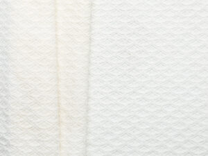 Fan Lace Jacquard - Cream