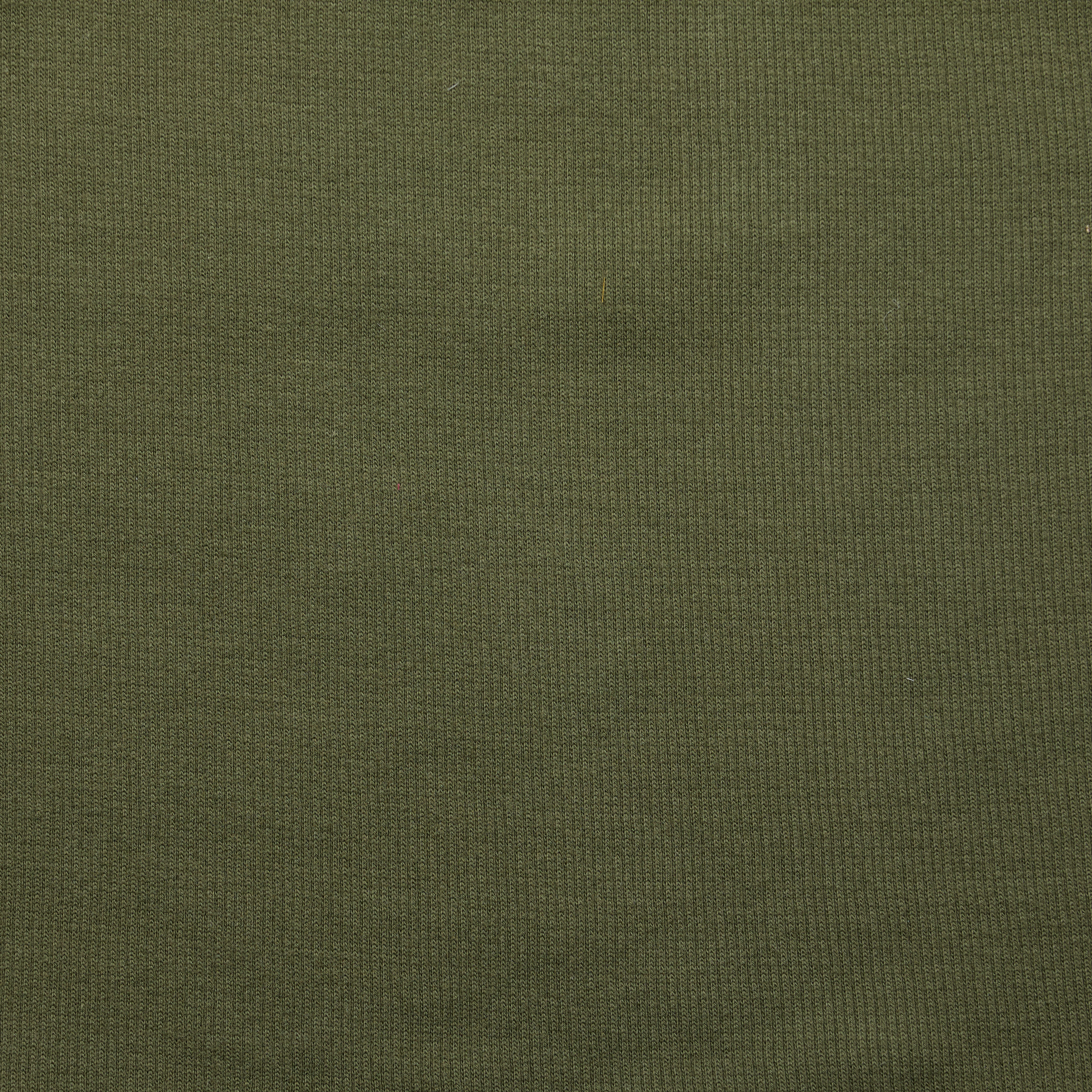 Organic Cotton 2x1 Rib - Khaki